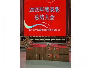 表彰先進(jìn)，禮贈(zèng)驚喜，共啟新程